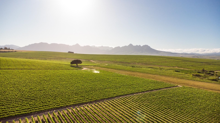 4 Bedroom Property for Sale in Lyndoch Western Cape